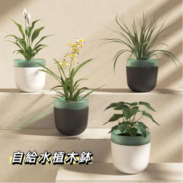 自給水植木鉢 手間いらず植木鉢 AS PP 貯水鉢 室内デスク 多肉植物 ポトス観葉植物用水やり不要プランター 吸水綿ロープ 多肉植物鉢 室内観 爆買