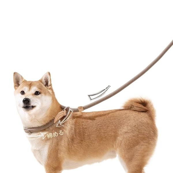犬用 P リード P チェーン 中型犬 大型犬  しつけトレーニング 1 秒制御 二重ストッパー 喉を締め付け過ぎない 丈夫ロープ 訓練用リード 散歩 抜 爆買