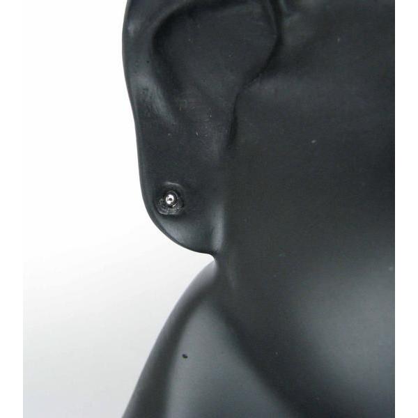 Pt900 2mm ۋ sAX n ۋ t@[XgsAX ZJhsAX v`i@