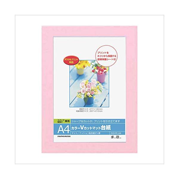 ピンク/-/DGVM-A4-P・PatternName:単品・パッケージ個数:1・台紙・スタンド:板紙