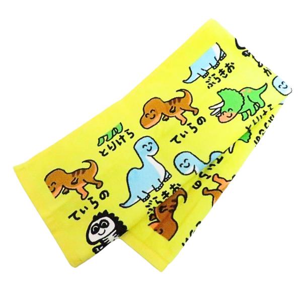 raptors_original-towel002