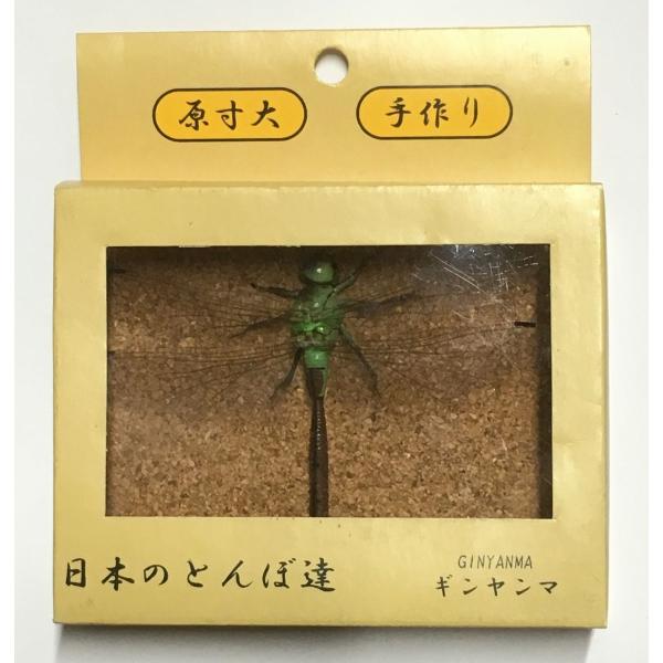 日本のとんぼ達 ギンヤンマ 標本模型 Buyee Buyee Japanese Proxy Service Buy From Japan Bot Online