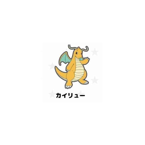 ポケモン ダイカットマグネット カイリュー 【2個までクリックポスト