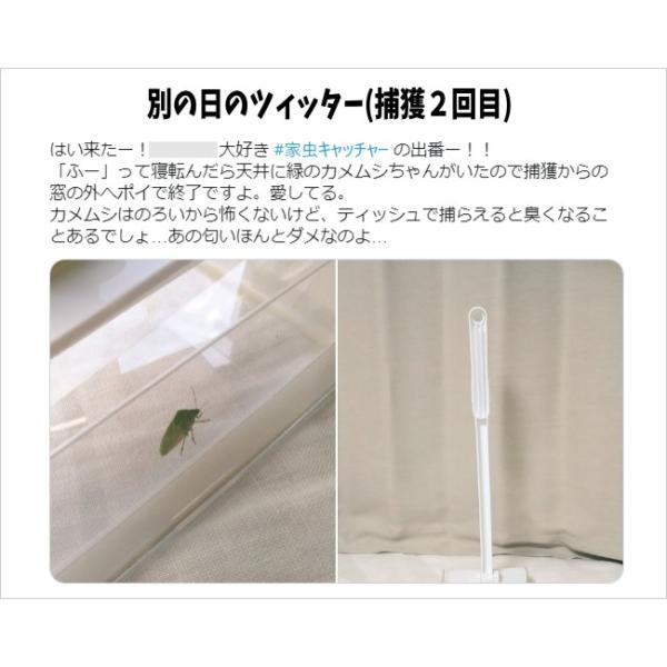 いざ虫が出た時の最強対策 ギガランキングｊｐ