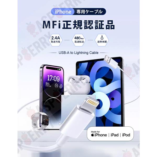 raspberry-store_dataline-4set_1_d_20250626153308