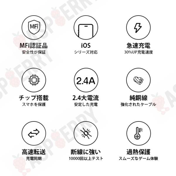 raspberry-store_dataline-4set_2_d_20250626153309