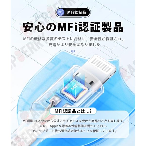 raspberry-store_dataline-4set_3_d_20250626153310