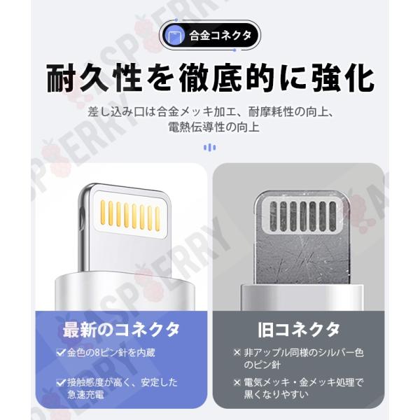 raspberry-store_dataline-4set_4_d_20250626153311