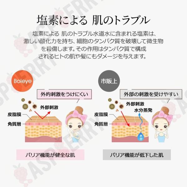 raspberry-store_new-huasa_5_d_20250626151507