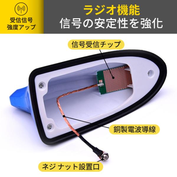 raspberry-store_shayuqi_5_d_20250724161654