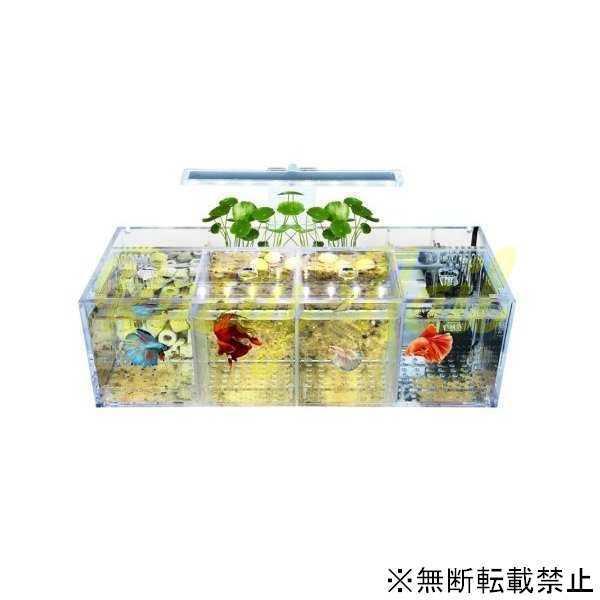 水槽 ペット ベタ 魚飼育用 アクリル 分離 小さい 水槽 自由 水ポンプ 38 1x14 6x12cm Bhinternalmedicine Com