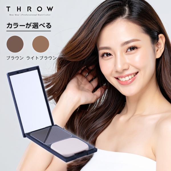 b-ex スロウ ヘアカラーコンシーラー レギュラー 11g|白髪用
