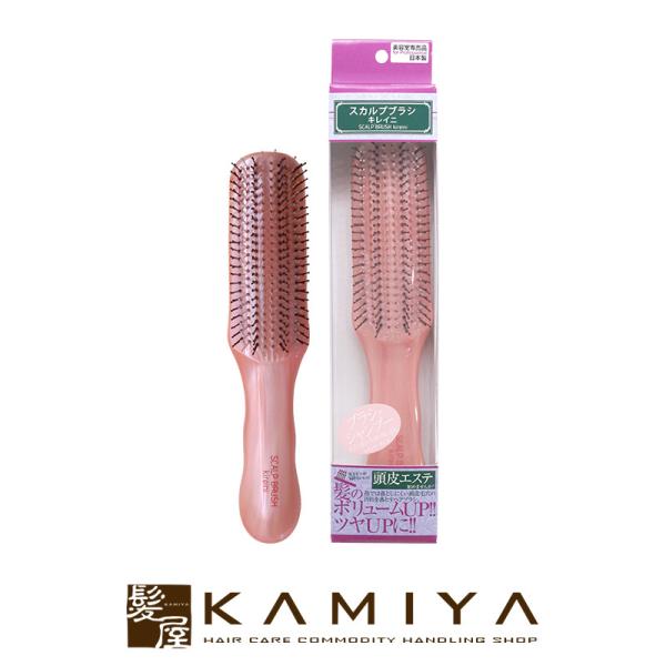 XJvuV LCj  M[ sNiubVOpj|wAuV wA[uV  c TT X^CO v[g Mtg wAPA