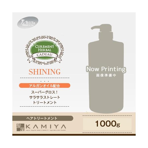 pCA LAgn[o VCjO}XN 1000g e@ꔄ