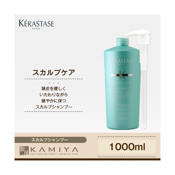 ケラスターゼ 業務用 1000ml」の人気商品一覧 | 安い商品を通販