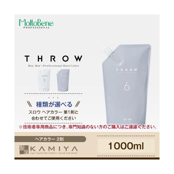 b-ex XE ILV 1000ml 2|3 6 J[ XE wA J[ XEJ[ Ɩp Tꔄi wAJ[ vp p e@ꔄ