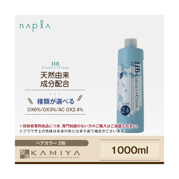 napla（ナプラ） HB ケアテクトカラー 2剤 1000ml|カラー剤 ケアテクト