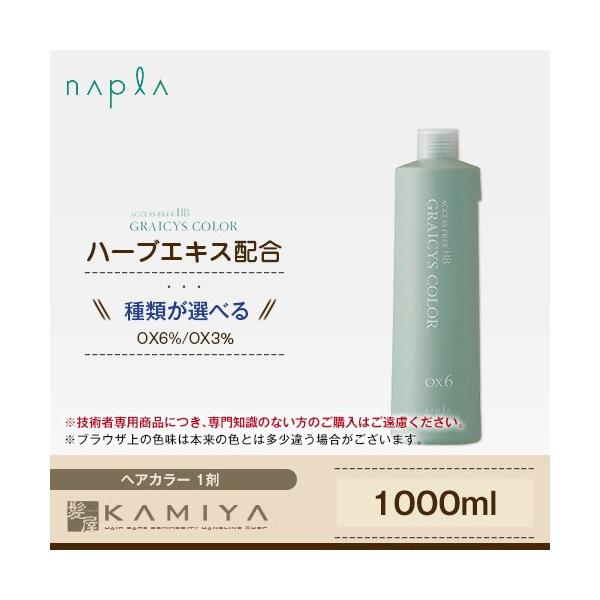 napla（ナプラ） アクセスフリー HB グレイシスカラー 2剤 1000ml|艶感