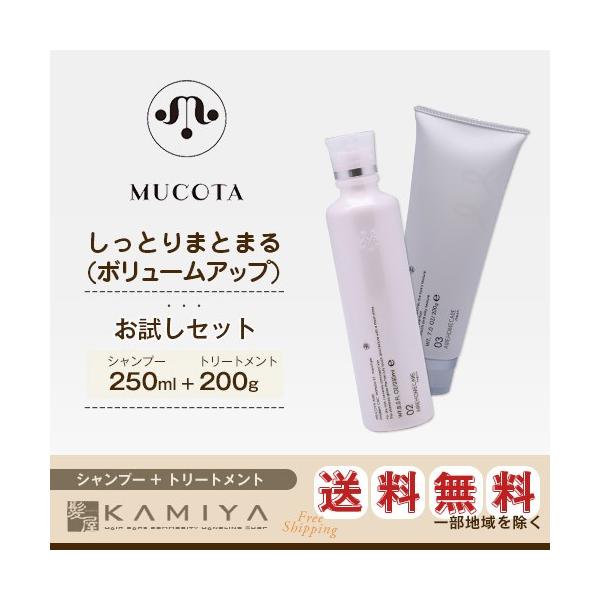 R^ Af[ AC 02 GGg CMC Vv[ ANA 250ml + 03 Cgx[ RfBVi[ [ 200g v2 Zbg e@ꔄ