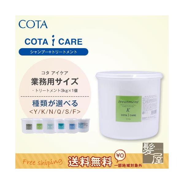 コタ アイケア トリートメント 3kg ヘラ付|cota i care コタk コタy