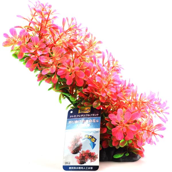 ySz eg lH tLVuvg FP3sN