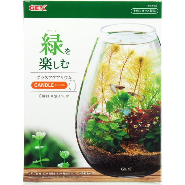 在庫有り 即ok Gex グラスアクアリウム キャンドル 即 新商品 レヨンベールアクア 通販 Yahoo ショッピング