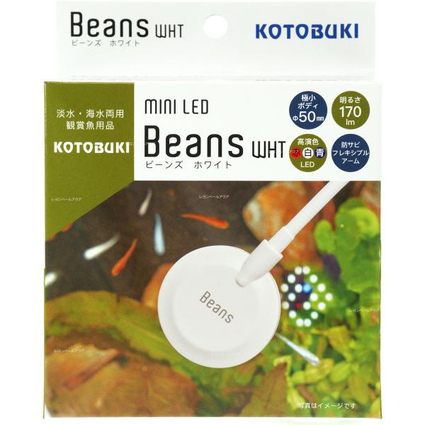 他サイト： 【全国送料無料】 コトブキ ミニLED　ビーンズ ホワイトの商品画像