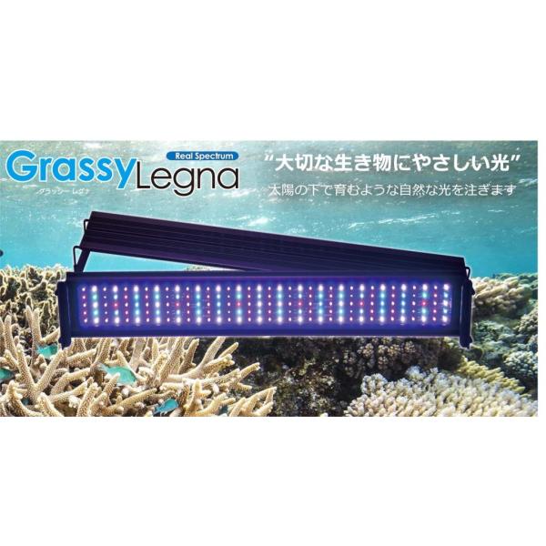 ボルクスジャパン Grassy Legna Marine 60 タイマー付きvolx japan