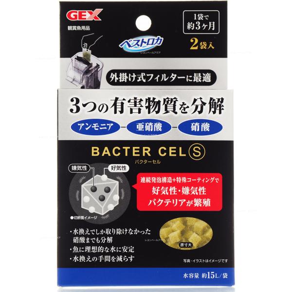 yS360~Ήz GEX oN^[Z S 2P