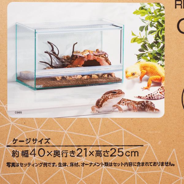 美品★爬虫類ゲージ GEX エキゾテラ レプテリア クリアネオ 400 スリム rayonvertaqua_12940