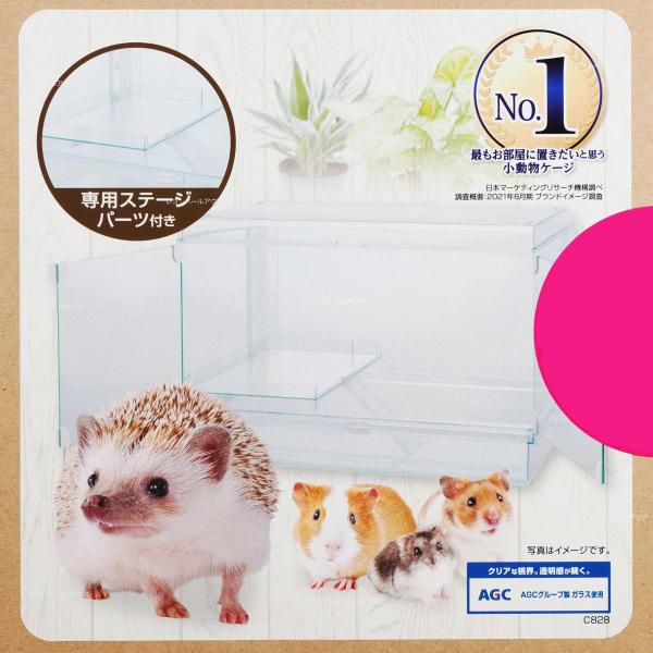 美品GEX グラスハーモニー600 小動物飼育セットハリネズミ
