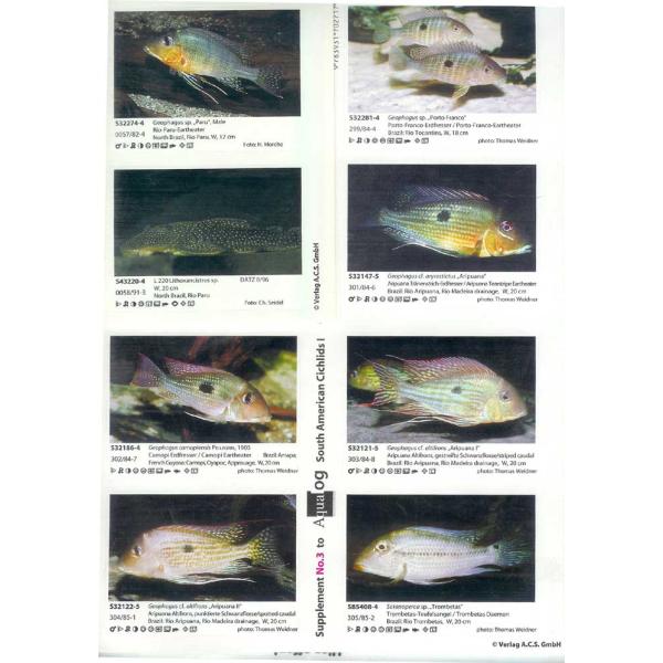 注文や問い合わせる際、当店の会社概要、お買い物ガイドを必ずお読みください。Aqualog サウスアメリカンシクリッド1サプリメントシール S201