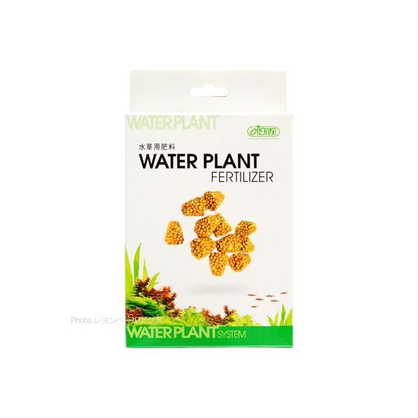 ySz Ctz[fBOX ph{ EH[^[vc tFeBCU[ 12