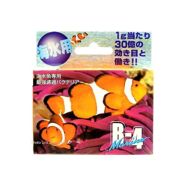 ySz psGC oNeA B4} 5g IWpbP[W