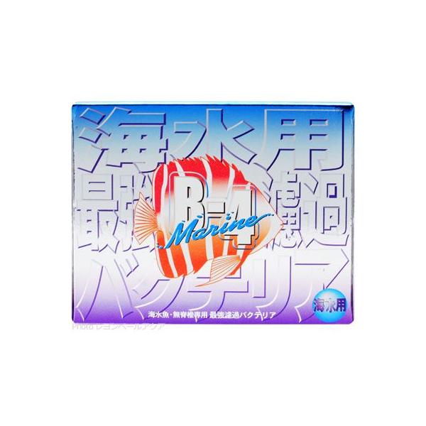 ySz psGC oNeA B4} 18g pbP[WVo[