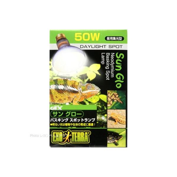 ySz GEX GL]e TO[oXLOX|bgv 50W pW^ 