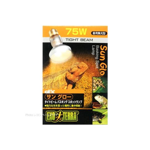 ySz GEX GL]e TO[^Cgr[oXLOX|bgv 75W  pW^ 