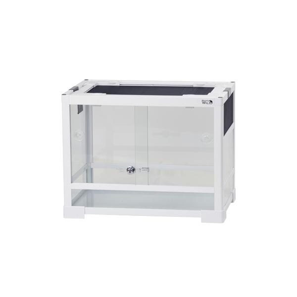 他サイト： 【全国送料無料】 REPTI WILD パンテオン ホワイト WH4535の商品画像