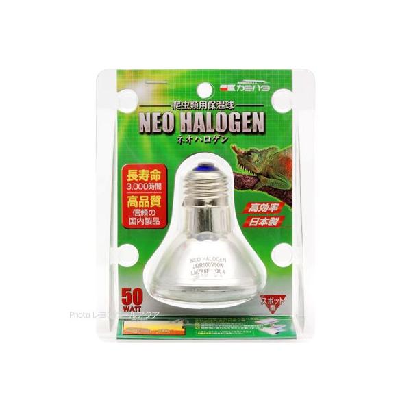 ySz J~n^ ۉ lInQ 50W