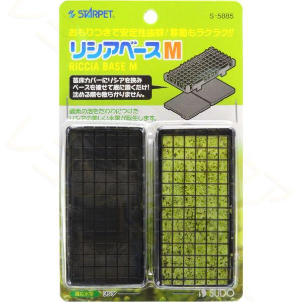 注文や問い合わせる際、当店の会社概要、お買い物ガイドを必ずお読みください。おもり付きのリシア用苗床、リシアベースです。ワンタッチ式なのでテグスなどで縛る煩わしさもなく簡単にセットできます。移動も自在、メンテナンスもラクラクです。ボリューム豊...