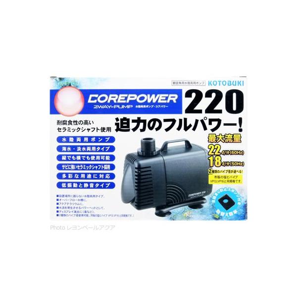 ySz RguL p|v RAp[220