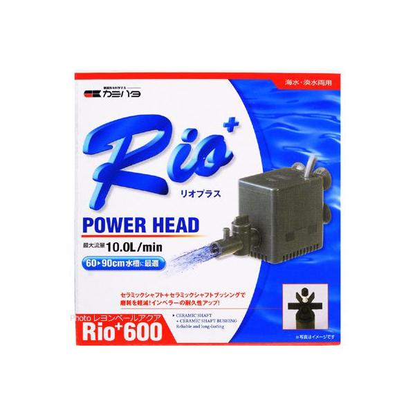 ySz J~n^ p[wbh|v IvX Rio+ 600 60H {dl