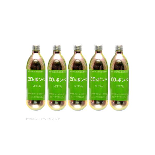 ySz EBXi CO2{x 74g 琬p ×5{ ܂Ƃߔ