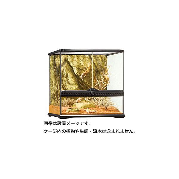 ySz GEX GL]e OXeE 4545 PT2605