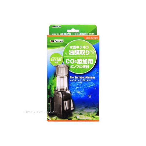 ySz J~n^ IvX T[tFXXL}[ 60H {dl