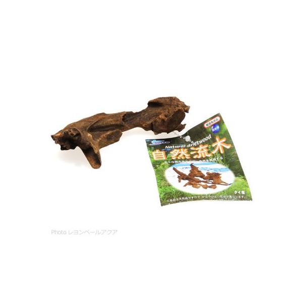 注文や問い合わせる際、当店の会社概要、お買い物ガイドを必ずお読みください。流木サイズ：約10〜15ｃｍ程度。水槽内に自然を再現するのに最適な天然流木です。さまざまに組み合わせることで、より自然的な美しさを演出できます。また、モスや、アヌビア...