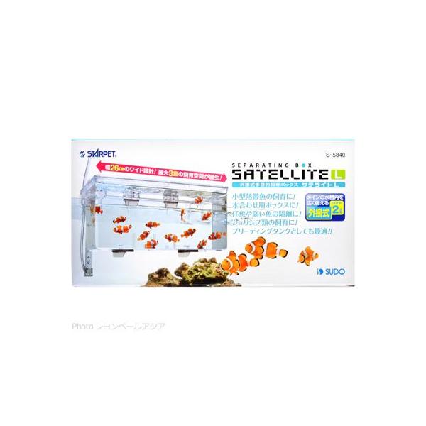 他サイト： 【全国送料無料】 スドー サテライトLの商品画像