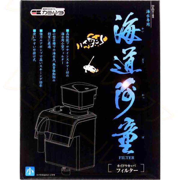 ySz J~n^ C͓tB^[  { veCXL}[@\