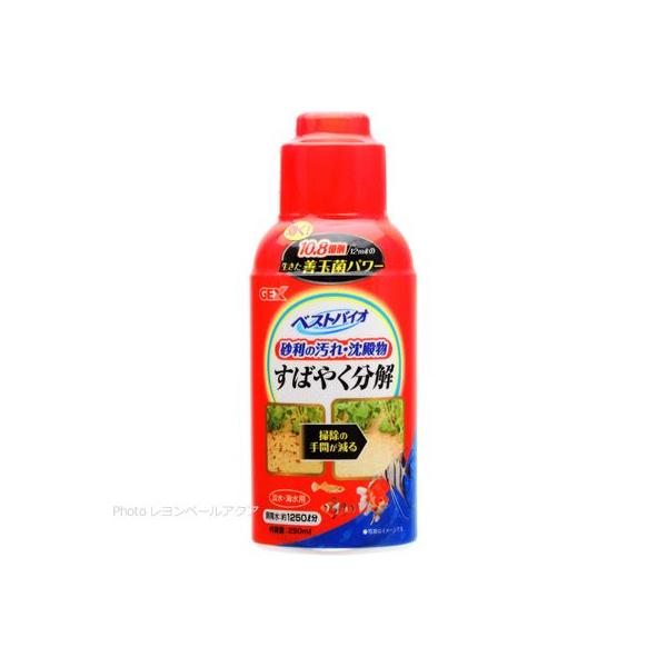 GEX xXgoCI 250ml WECp