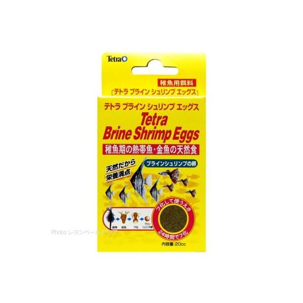 ブラインシュリンプエッグ エサ 熱帯魚の人気商品・通販・価格 ブラインシュリンプエッグ エサ 熱帯魚の人気商品・通販・価格